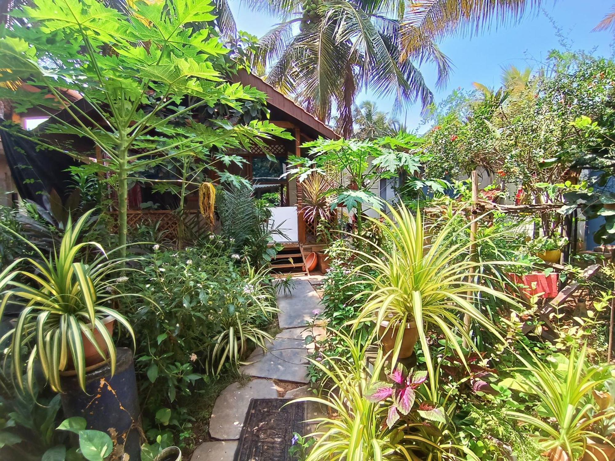Monsoon Hotel Agonda Bagian luar foto